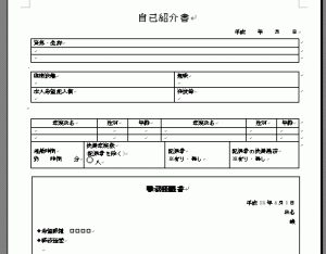 履歴書with職務経歴書のスクリーンキャプチャ2