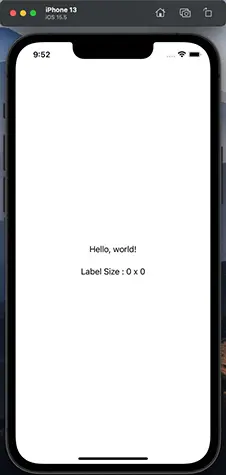 0 x 0 is displayed in the iOS simulator or on the actual device.