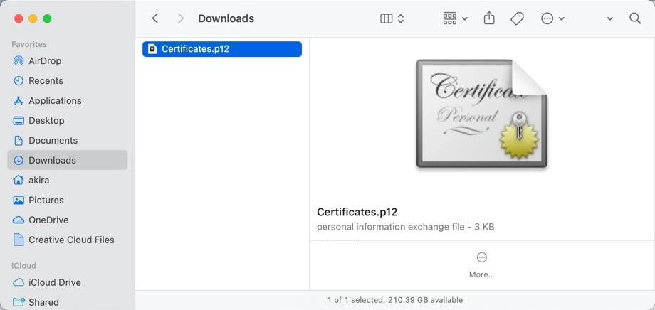 Exported certificate