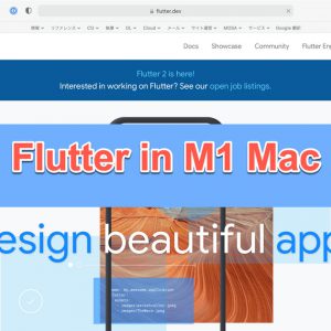 Mac用subversionクライアントから3つピックアップ アールケー開発